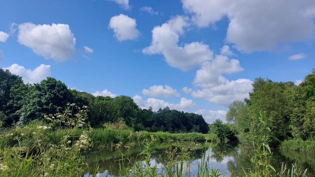 burnstuff77's tweet photo. Tough in office again! Brilliant  volunteers, awesome  space.
#volunteerweek
#greenspaceninja 
@Worsbrough_Mill 
@HeritageFundUK https://t.co/EYjhZihzvQ