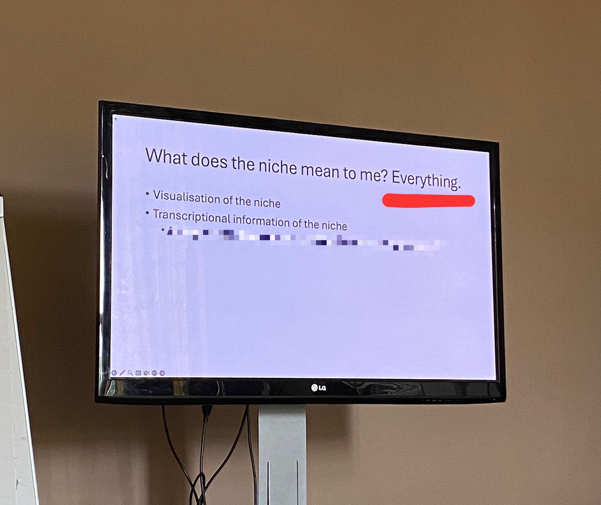 Alessandra Ferrelli tweet media