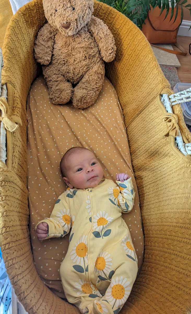 Hattie Grünewald tweet media