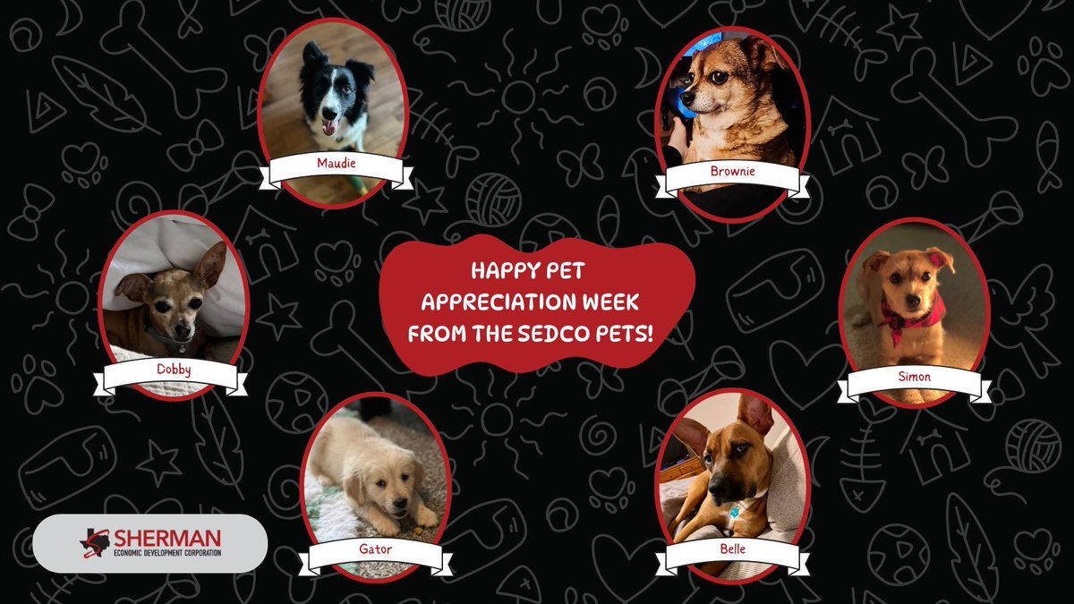 ShermanEDC's tweet photo. Happy National Pet Appreciation Week from the SEDCO team and our beloved pets! 🐶🐱 These furry friends bring so much joy and love to our lives, and we want to share their adorable faces with you. Show us your pets in the comments below! #SEDCO #PetAppreciationWeek #TeamPets https://t.co/eXiGXppEAm