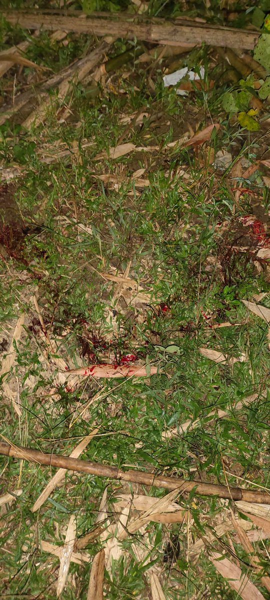 BharatMeitei's tweet photo. 🔥BREAKING NEWS 🔥Today #kuki have mercilessly murder one #meitei again ..but slitting his throat after abduction in Jiribam district in Manipur.
@manipur_police 
#KukiWarCrimes 
#KukiTerrorists 
#KukiEngineeredManipurViolence 
After result kuki have started the violence again https://t.co/81HTFzb5Rx