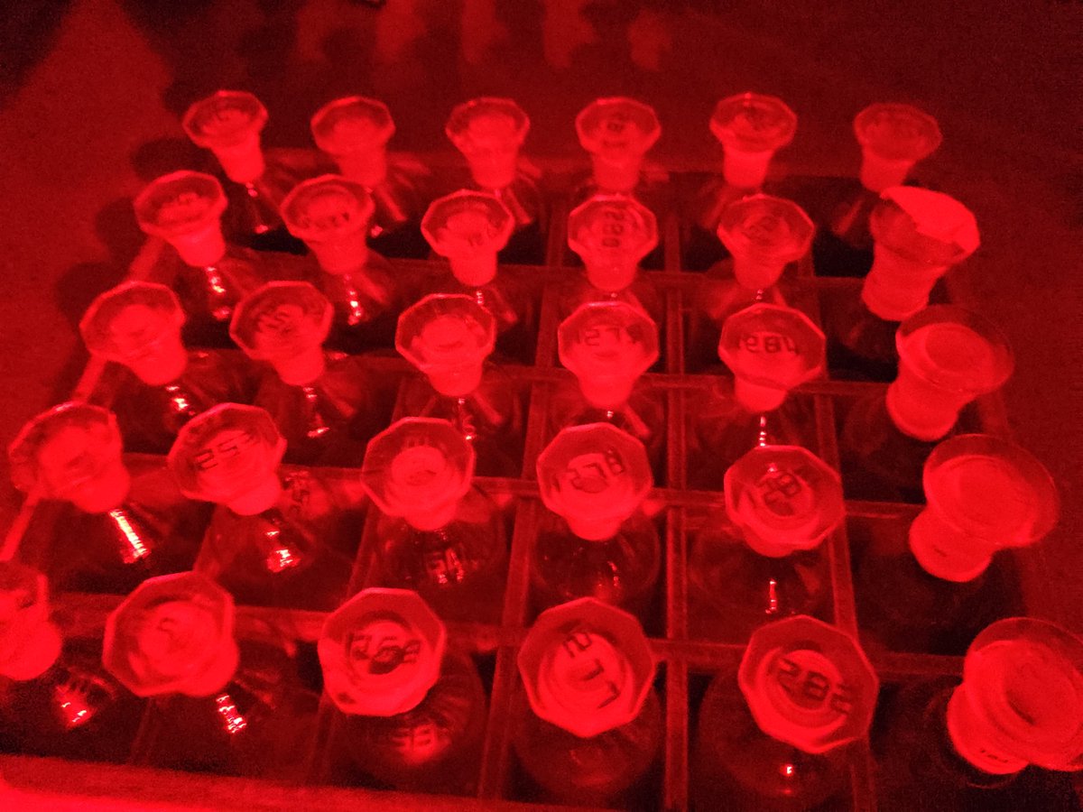 E.Elena GarciaMartin tweet media