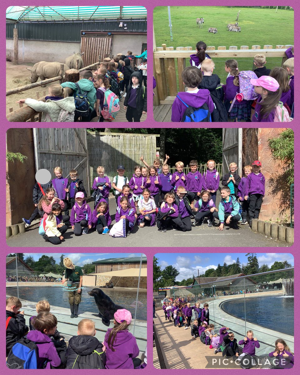 KPS_Primary2N's tweet photo. We had an amazing day at the safari park! 🦖🦁🦓🐅🦕🦏🦒
Thank you to our parent helpers, we really appreciate all your help and support. https://t.co/dw1mV8Glc2