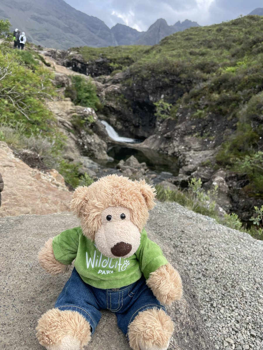 AltheBear3's tweet photo. Yesterday we went on the Applecross road which was scary so I hid in the bag all day! Today we went back to beautiful Skye. First we enjoyed lovely views on the Waternish peninsula and then off to Fairy Pools and the pretty waterfalls. @VisitSkye #skye #fairypools @VisitWaternish https://t.co/VYXsuuQz7R