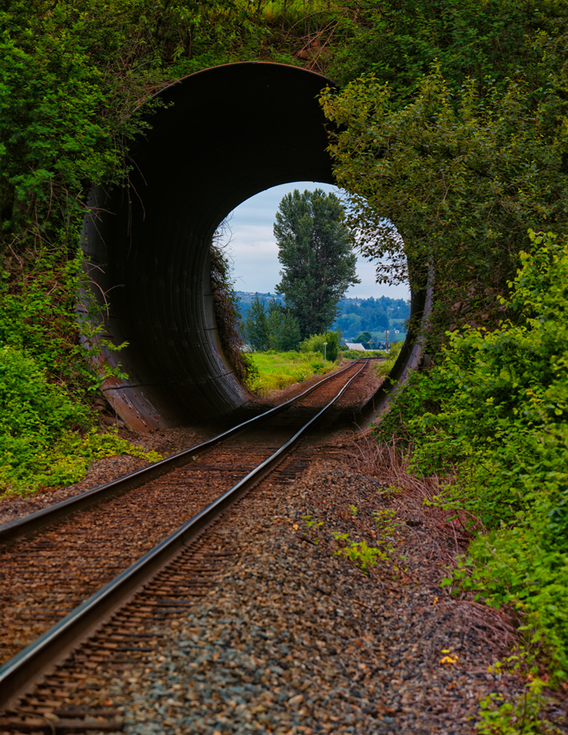 Sam_Alexandra23's tweet image. Hi Gang!  Today let's share our best captures of #TrainTracks.  Have a Wonderful day out there! 😊#photography #tracks #RailroadTracks 📸🇨🇦