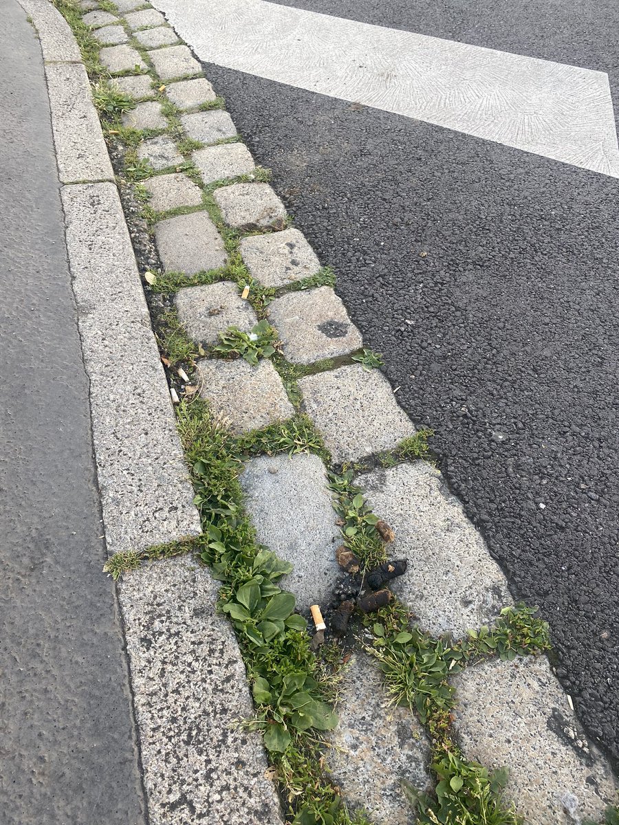 Double combo de déjections canines à #Nancy rue Emile Bertin : 2 crottes a l’entrée d’un passage piéton dont l’une camouflée dans les mauvaises herbes histoire de s’assurer que les gens ne la verront pas et marcheront dedans. A quand des mesures <a href="/mathieuklein/">MathieuKlein</a> @VilledeNancy ?