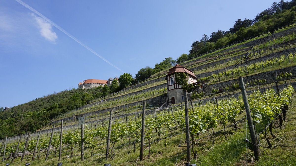 UCKronenberg tweet picture