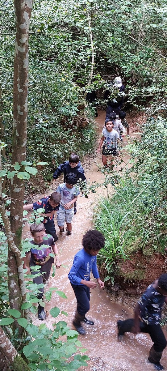 The stream walk, we can't go over it, we can't go under it.....