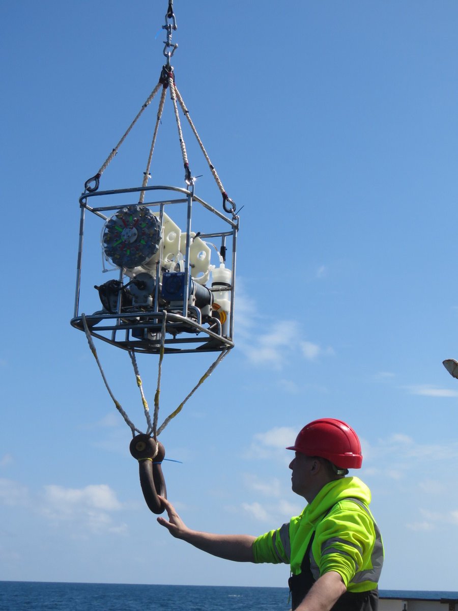 E.Elena GarciaMartin tweet media