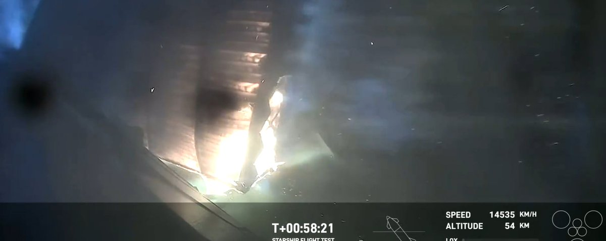 The Starflap... 🥳