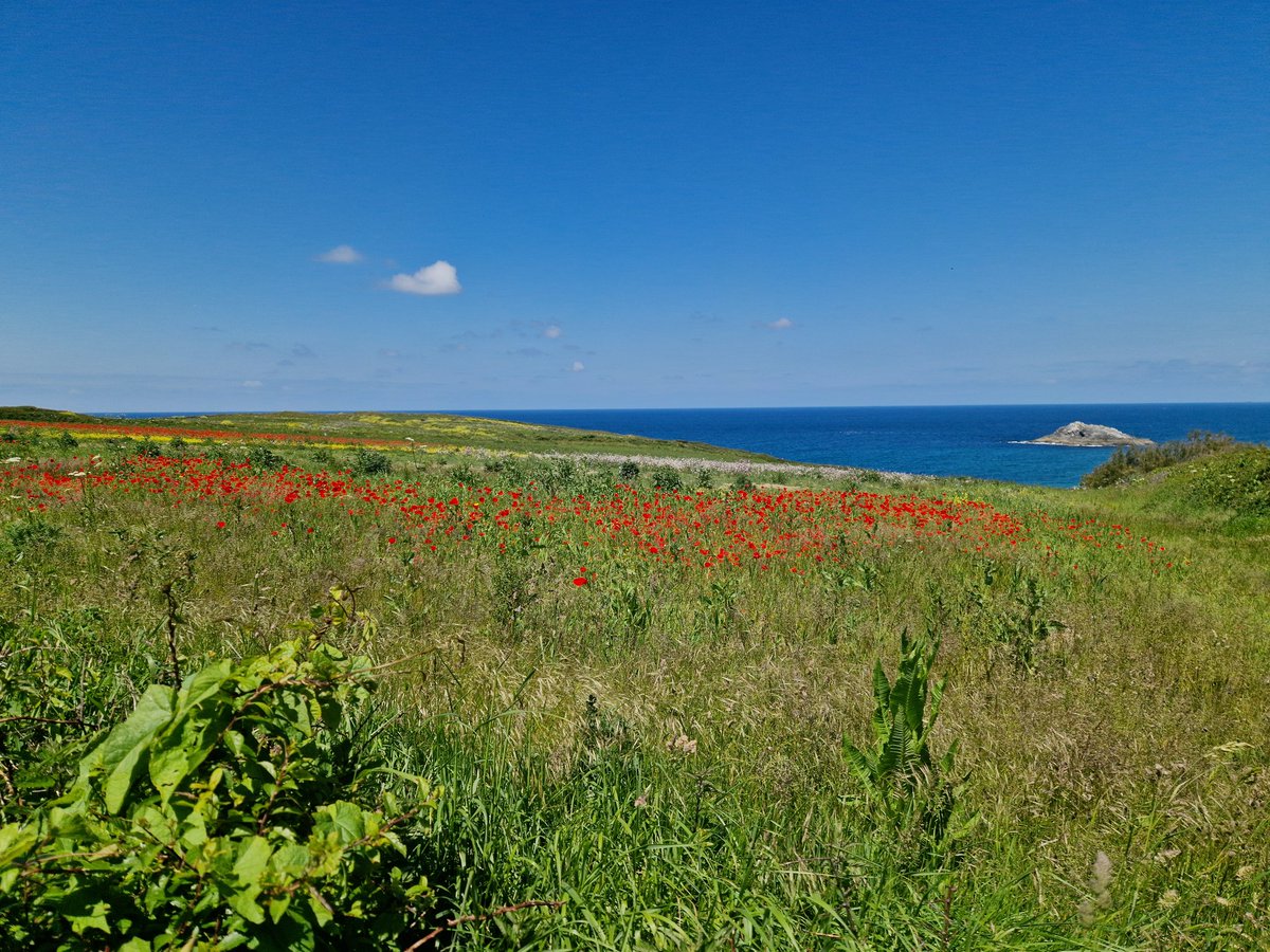 britain_hidden's tweet photo. A little downtime in Cornwall. Still can't stop myself casting an eye over the fields and wondering 😁 https://t.co/oPlFMxETMJ