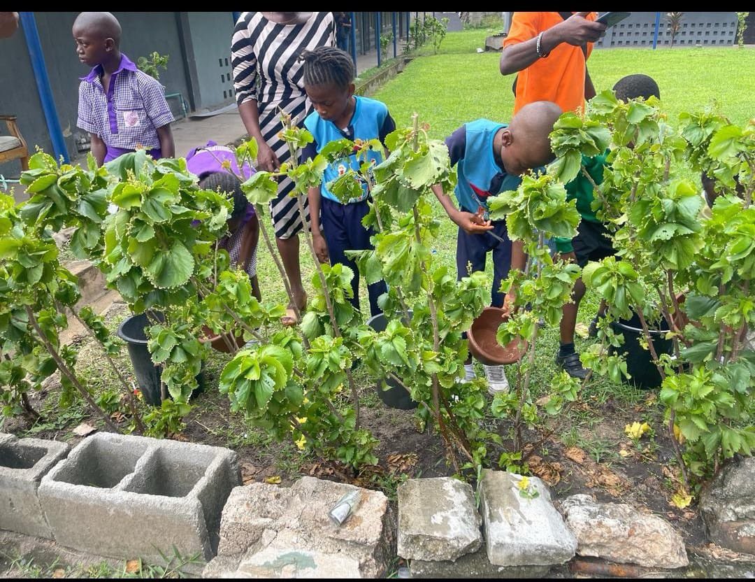 Librarygovng's tweet photo. Our Lagos Branch Commemorates World Environment Day in collaboration with @ZODML. This year theme: "Land Restoration, Desertification and Drought Resilience" The event was held at the Green Library where school children were tutored on healthy environmental practices. https://t.co/KRPWNZWtKA