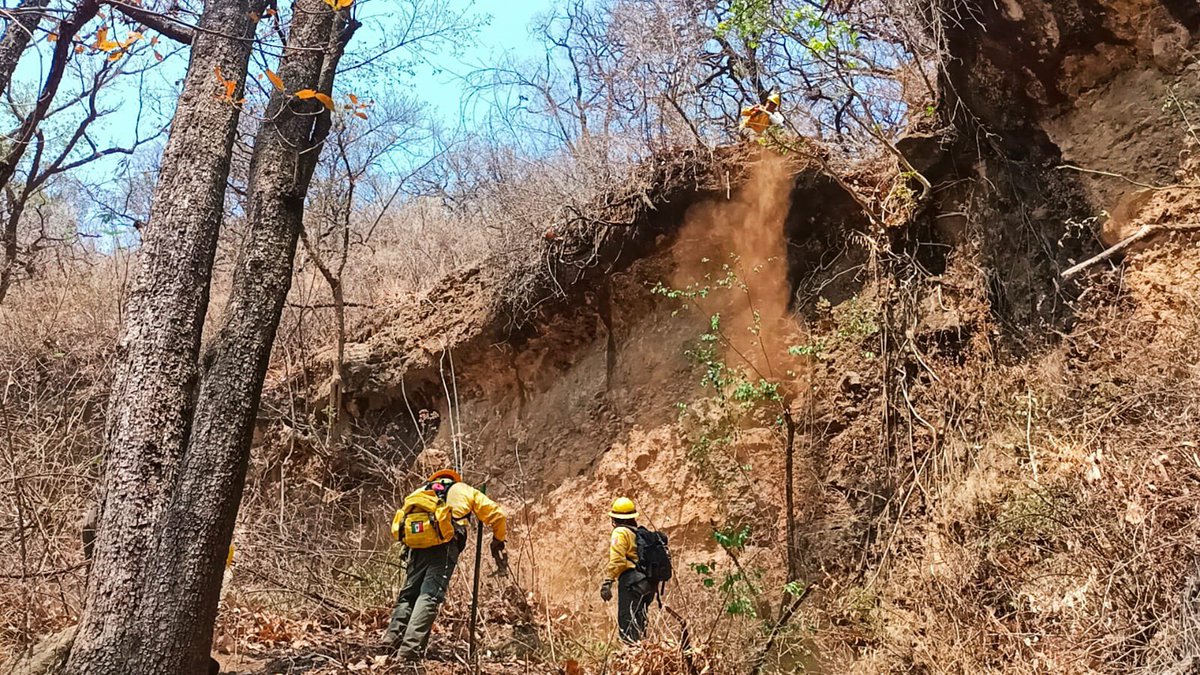 ContingenciasMorelos tweet media