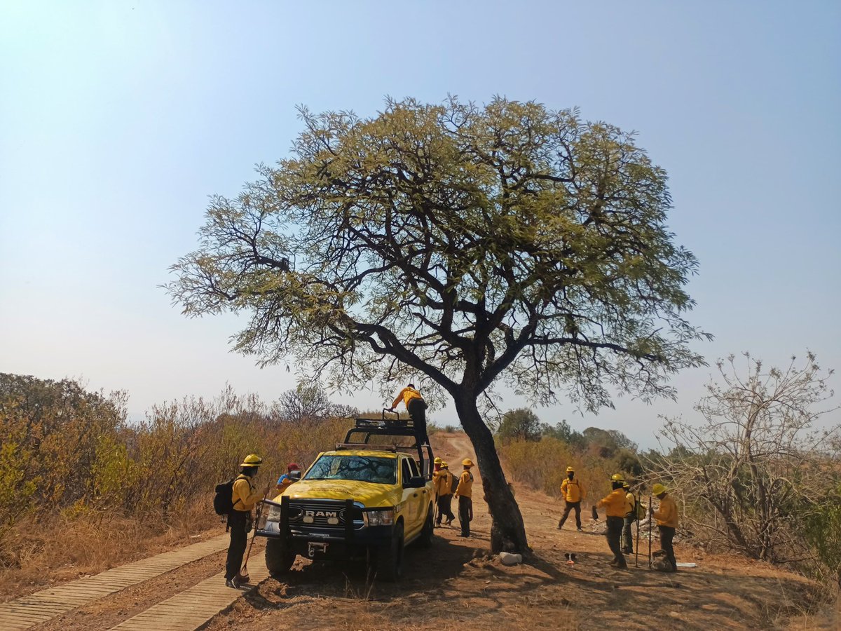 ContingenciasMorelos tweet media