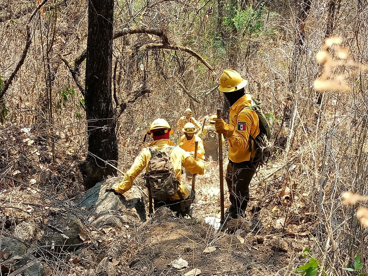 ContingenciasMorelos tweet media