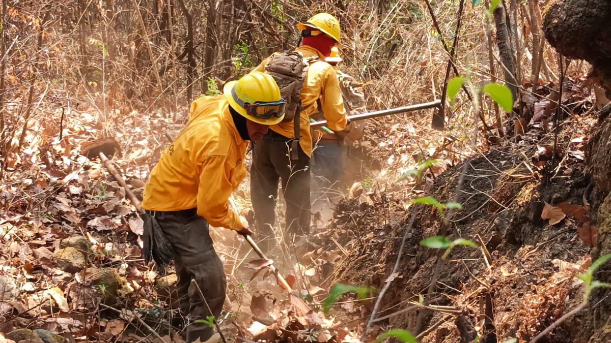 ContingenciasMorelos tweet media
