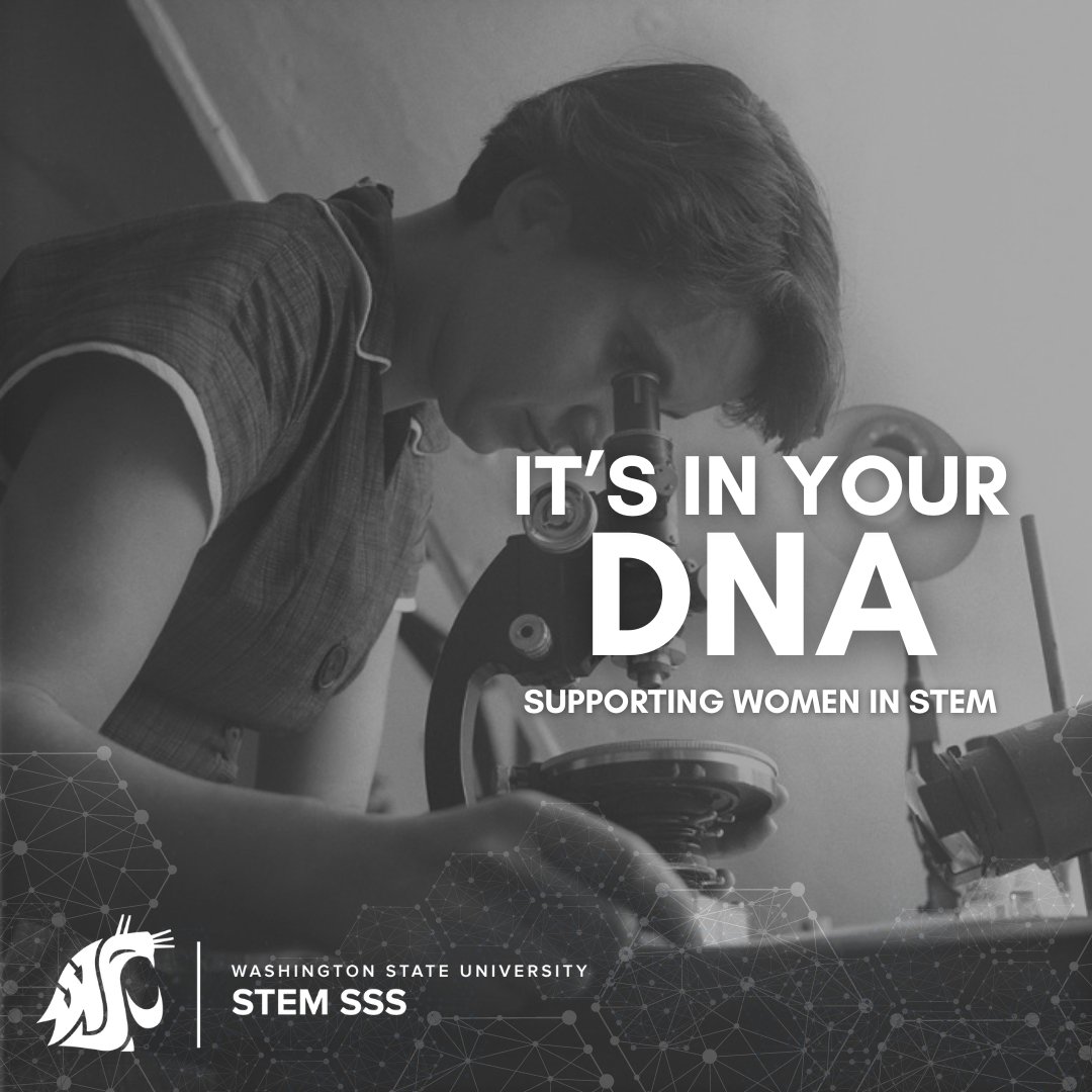 WSU College Success Programs tweet media