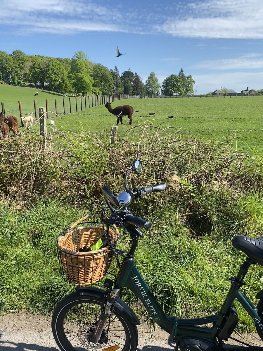 Amanda Johnstone tweet media