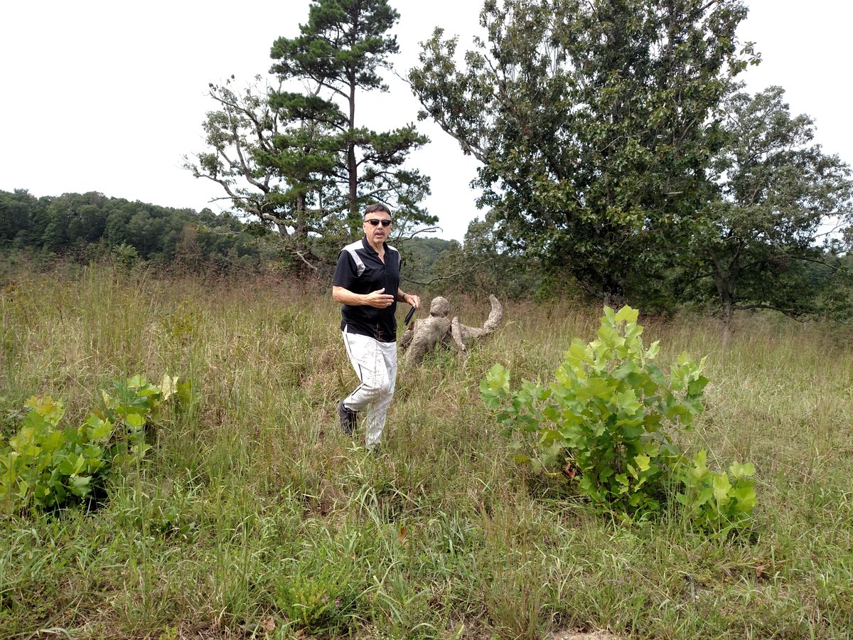 DrGregLittle2's tweet photo. Odd find: A stone statue of an angel in a field in the Ozarks. Nothing else there! https://t.co/QYJlTlw4rA