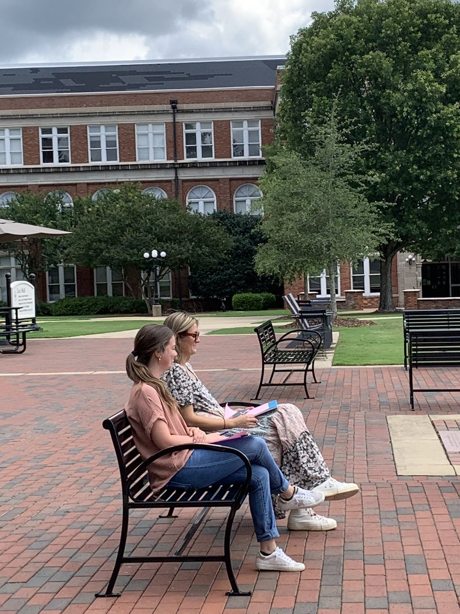 MSU Elementary Education tweet media