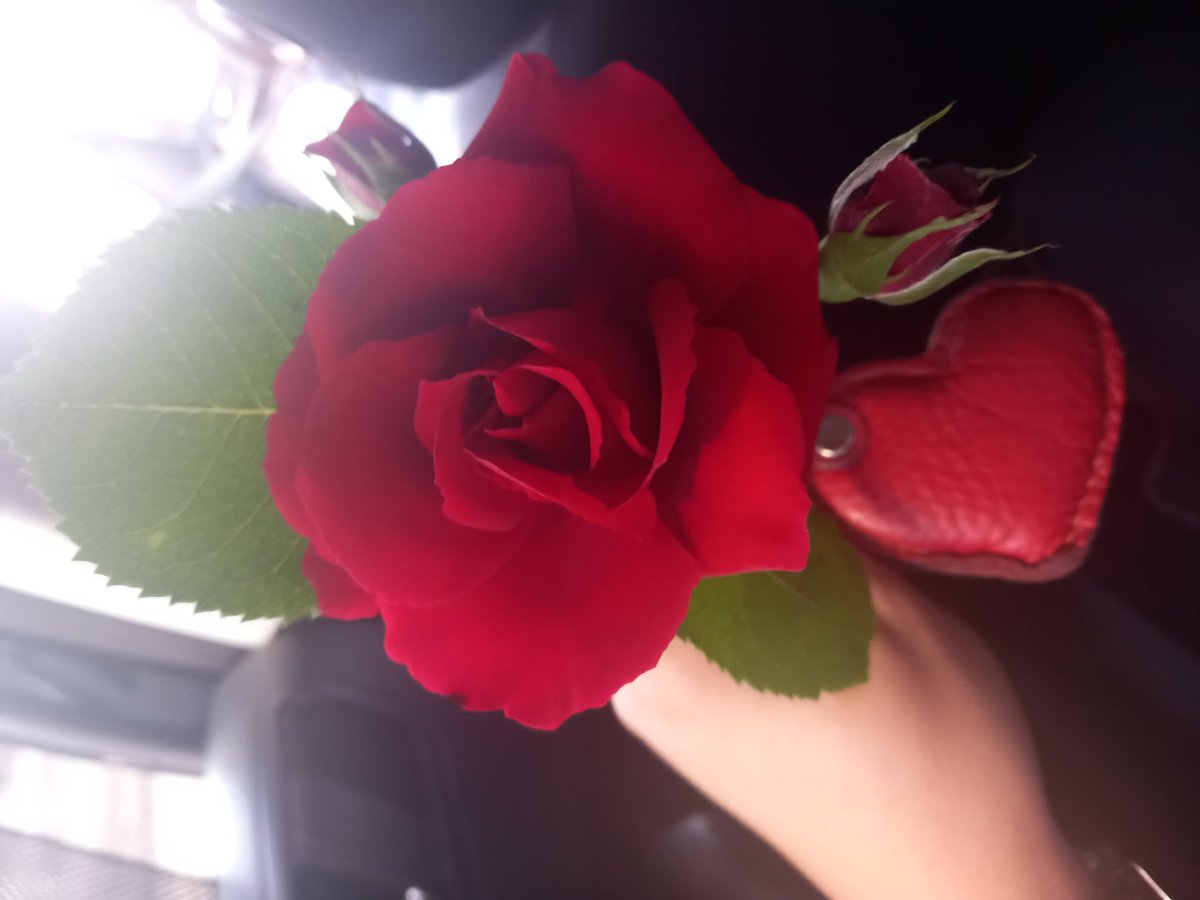 CukRadica's tweet photo. ❣️ https://t.co/dHWFmgHYIP