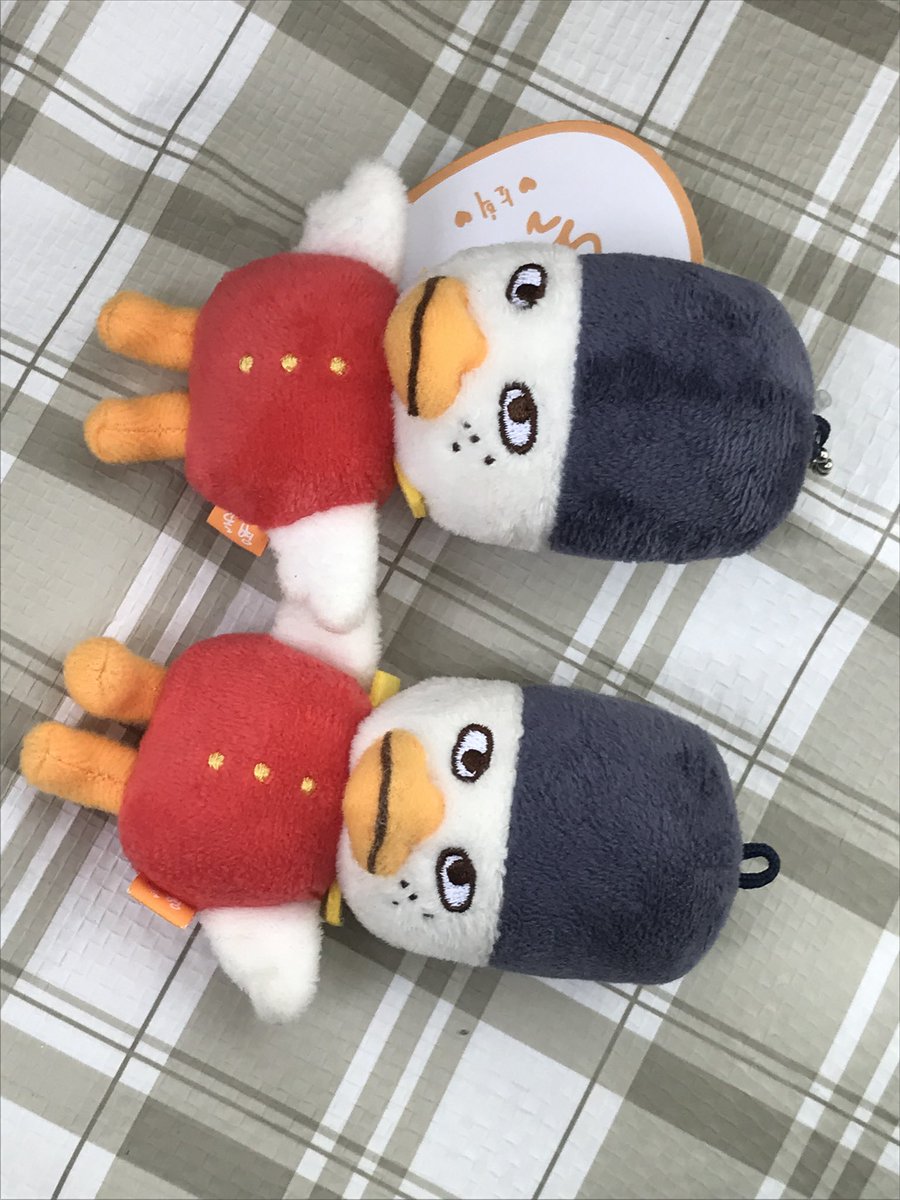 9ooddog's tweet photo. 대전을 다녀왔어요 https://t.co/eqCaPq2BUA