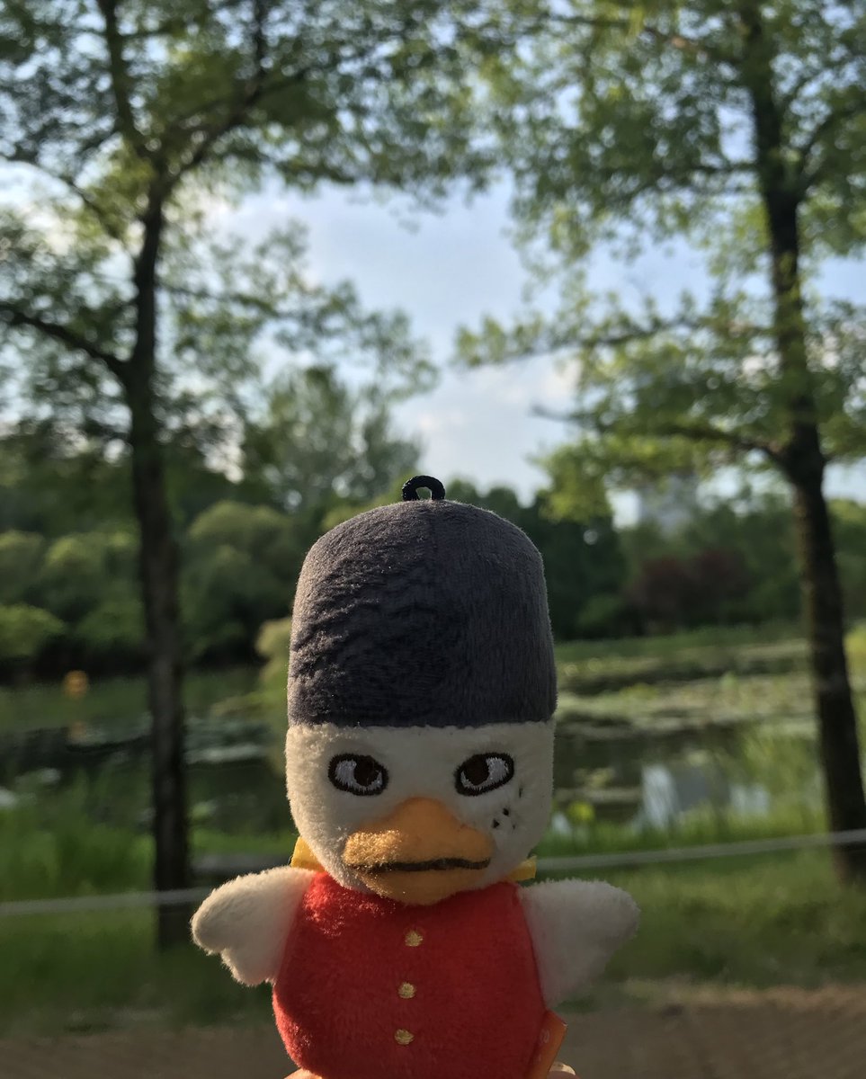 9ooddog's tweet photo. 대전을 다녀왔어요 https://t.co/eqCaPq2BUA