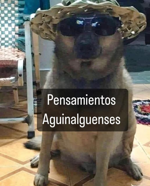 🧚 (@muyyforraa) on Twitter photo 