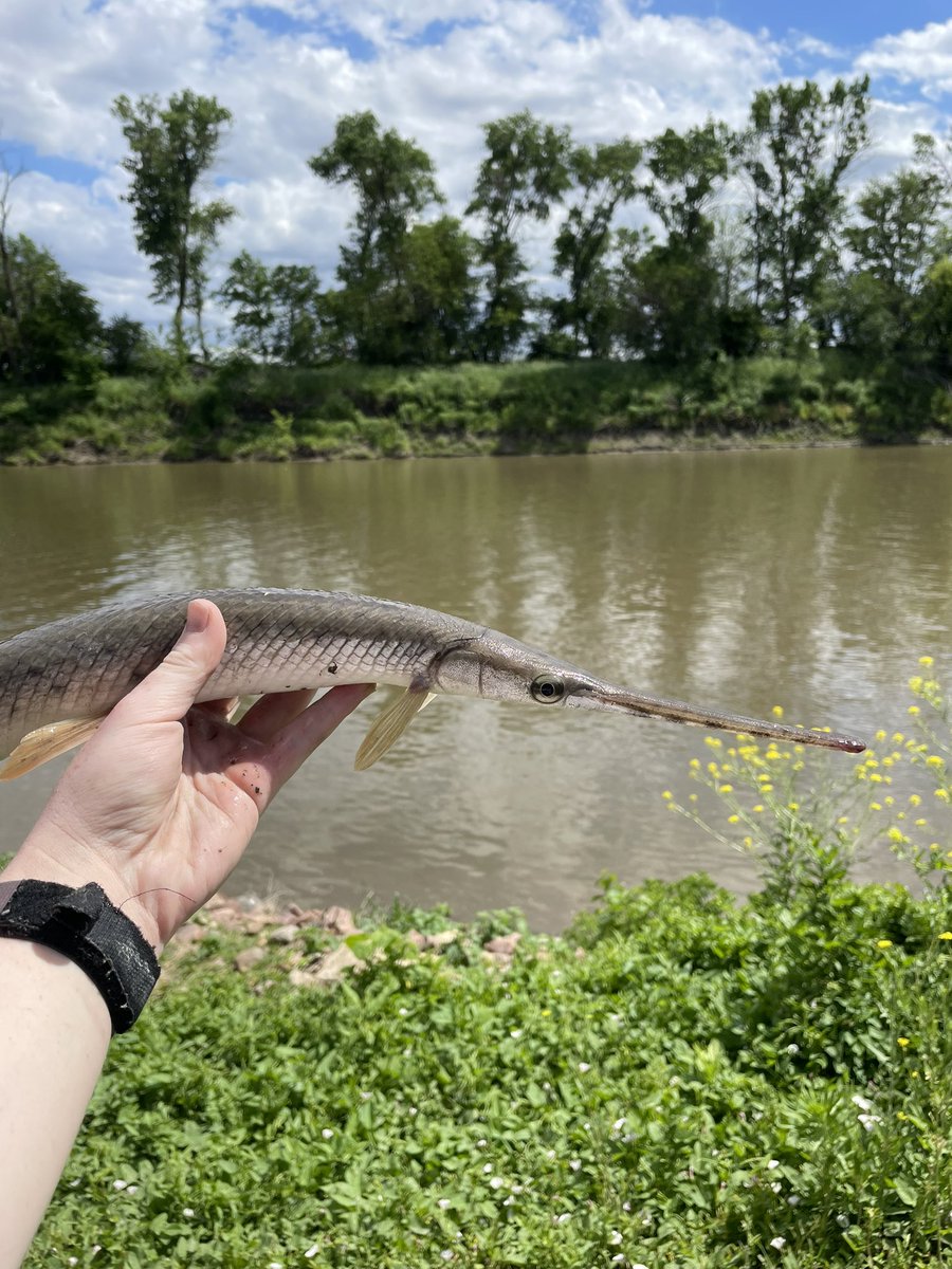 Hannah Mulligan tweet media