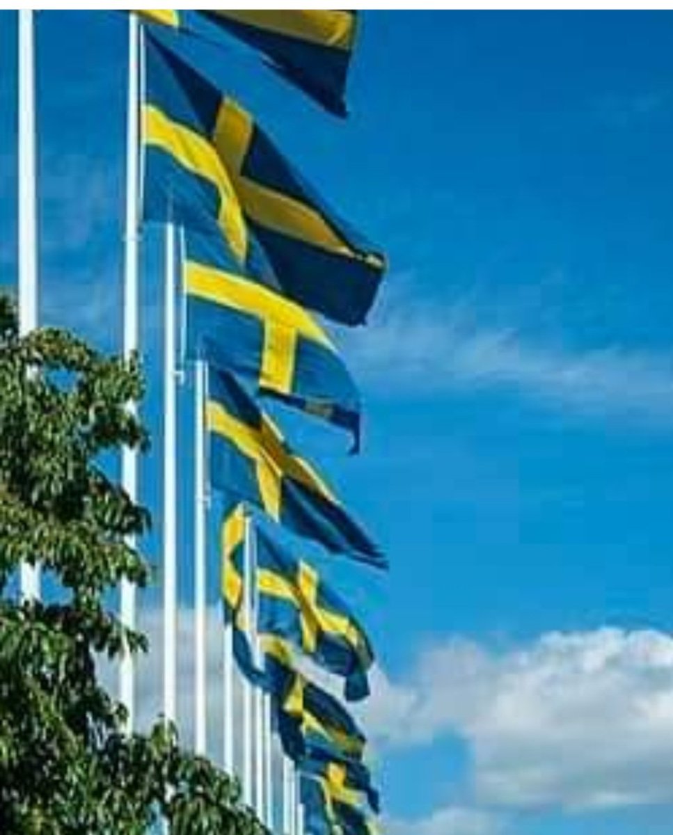 sayidal14971121's tweet photo. Glad Nationaldag på er alla på vår sida 🇸🇪
6 Juun waa maalinta qaranimada Iswiidhan. 
Ha noolaato Iswiidhan. Barwaaqo iyo nabadgelyo ayaan u  rajaynayaa. Guul Guul... https://t.co/AedSadbGSD