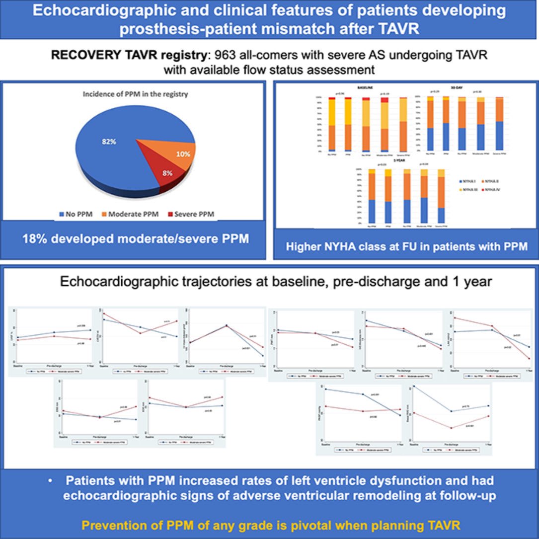 Francesco Bruno (@cescobruno) on Twitter photo 📣Our study from the RECOVERY TAVR registry is out on <a href="/AmericanHeartJ/">AmericanHeartJ</a>
🌐 963 TAVR patients. 18% of PPM
📌PPM post TAVR is associated with adverse remodelling and left ventricle disfunction
📌Patients with PPM had higher NYHA class at FU
Check it out!
👉🏻sciencedirect.com/science/articl… 📣Our study from the RECOVERY TAVR registry is out on <a href="/AmericanHeartJ/">AmericanHeartJ</a>
🌐 963 TAVR patients. 18% of PPM
📌PPM post TAVR is associated with adverse remodelling and left ventricle disfunction
📌Patients with PPM had higher NYHA class at FU
Check it out!
👉🏻sciencedirect.com/science/articl…