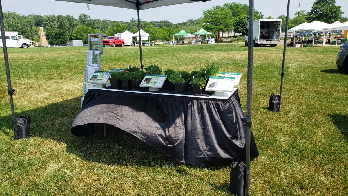 UMN Turfgrass Science (@umnturf) on Twitter photo We'll be at <a href="/coonrapidsgov/">City of Coon Rapids</a> Summer in the Sun at Mercy Park next Tuesday, June 11, from 6:30-8:00pm.
Stop by to see our educational displays and ask all your lawn care and irrigation related questions!
Full event info: coonrapidsmn.gov/CivicAlerts.as…
📸 <a href="/gdeters_turf/">Gary Deters</a> We'll be at <a href="/coonrapidsgov/">City of Coon Rapids</a> Summer in the Sun at Mercy Park next Tuesday, June 11, from 6:30-8:00pm.
Stop by to see our educational displays and ask all your lawn care and irrigation related questions!
Full event info: coonrapidsmn.gov/CivicAlerts.as…
📸 <a href="/gdeters_turf/">Gary Deters</a>