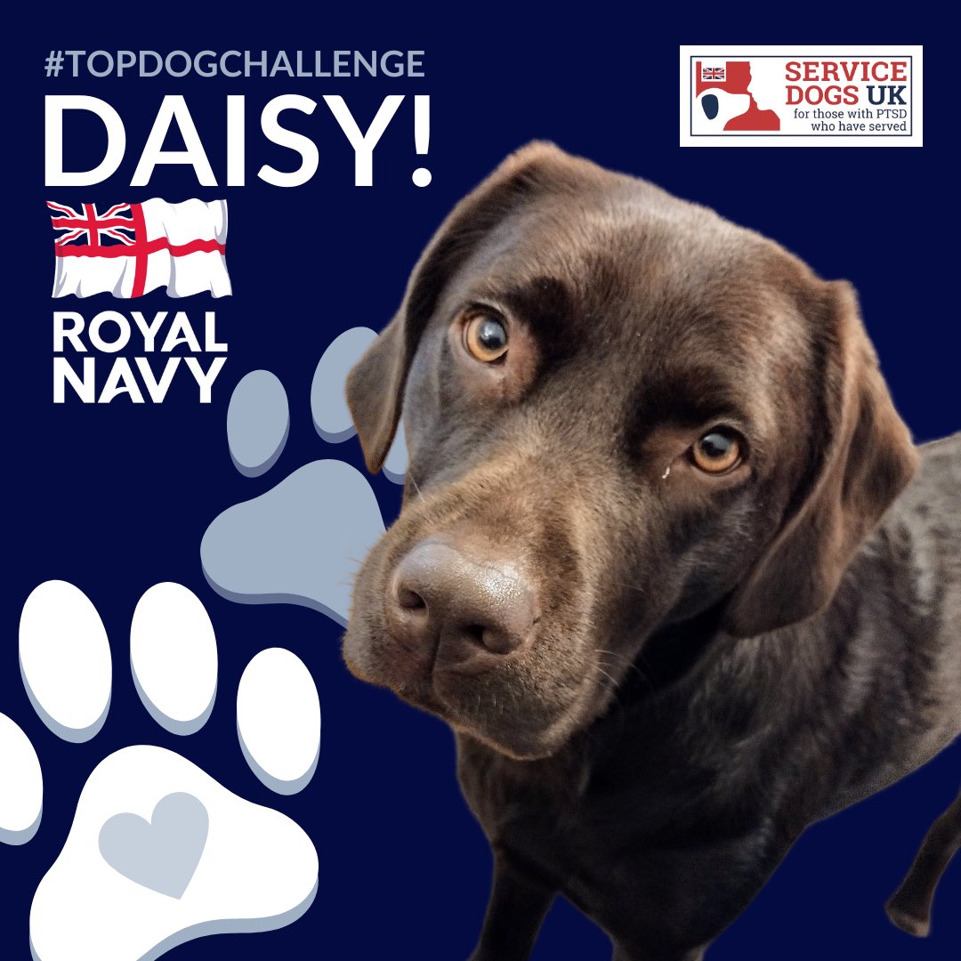 ServiceDogsUK's tweet photo. Introducing Daisy, her tail never stops wagging! ๐พ
She is representing the @RoyalNavy for our #TopDogChallenge!
Daisy is laid back but loves going on long walks, chasing a ball and running in puddles
Take a look at Daisyโs adventures! ๐
Support Daisy https://t.co/4lbBLcxkgS https://t.co/3CbBjE2BEK