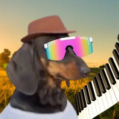 only crypto tweet media