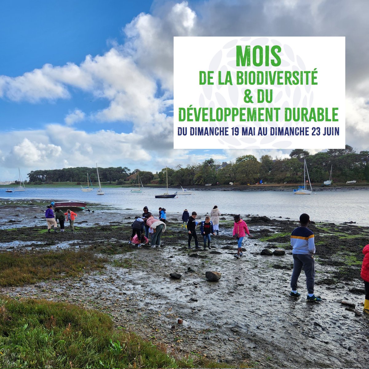 𝑳𝒂 𝒓𝒂𝒅𝒆 𝒅𝒆 #𝑳𝒐𝒓𝒊𝒆𝒏𝒕, 𝒖𝒏 𝒔𝒊𝒕𝒆 𝒏𝒂𝒕𝒖𝒓𝒆𝒍 𝒎𝒐𝒅𝒊𝒇𝒊𝒆́ 𝒑𝒂𝒓 𝒍'𝒉𝒐𝒎𝒎𝒆 Mardi 11 juin - Découvrez l’aire marine éducative du Ter avec les enfants de l’école Bois Bissonnet et les projets de recherche de l'UBS avec un chercheur helloasso.com/associations/e…