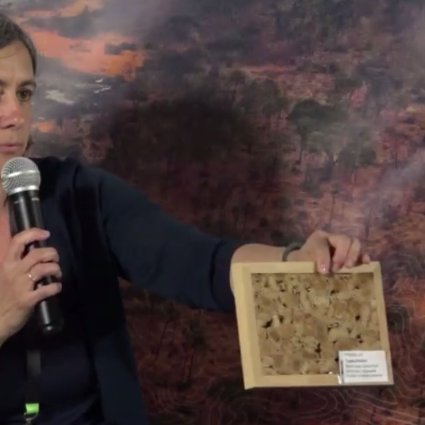 🌾Have you heard about paludiculture?

A modern term, it refers to the productive cultivation of wet peatlands. Its products can be applied to construction, home goods, and even the fashion industry.

#GLFPeatlands