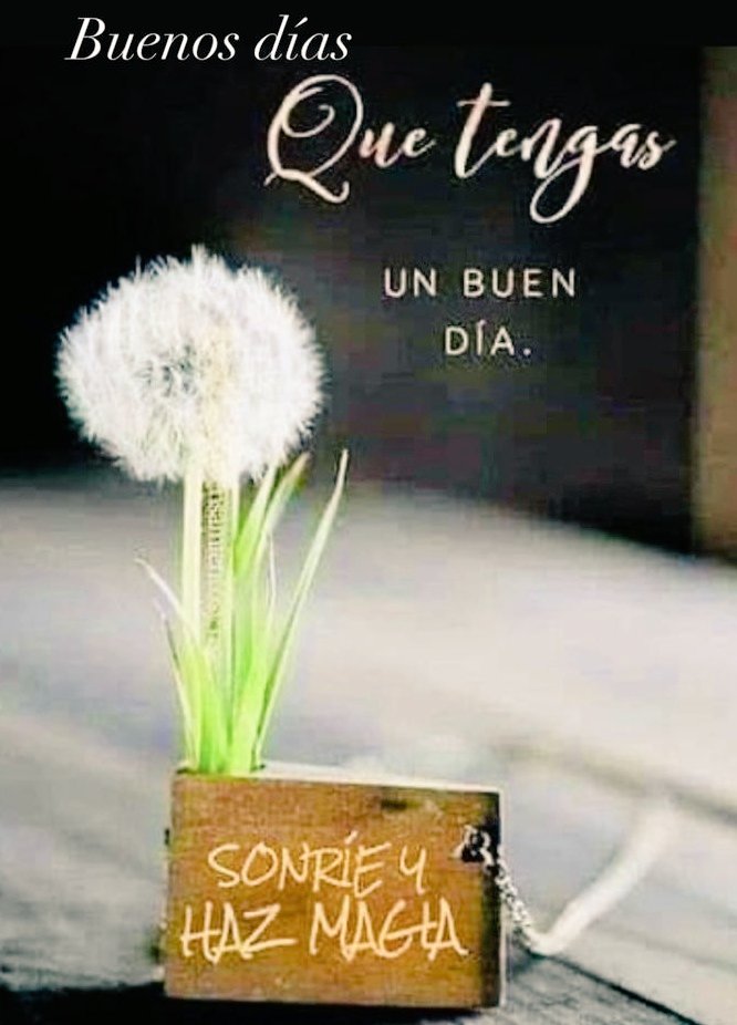 Laura Rivas tweet media