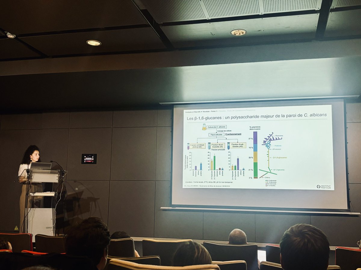 Sarah Dellière is on Bluesky 🦋 (@sarah_delliere) on Twitter photo Today, <a href="/bekirian_clara/">Clara BEKIRIAN</a> brilliantly defended her PhD on #Candida albicans cell wall <a href="/institutpasteur/">Institut Pasteur, since 1887</a> 🍄. What a didactic talk on the complexity of the cell wall structure with a focus on B-1,6-glucans ! 👏 Today, <a href="/bekirian_clara/">Clara BEKIRIAN</a> brilliantly defended her PhD on #Candida albicans cell wall <a href="/institutpasteur/">Institut Pasteur, since 1887</a> 🍄. What a didactic talk on the complexity of the cell wall structure with a focus on B-1,6-glucans ! 👏