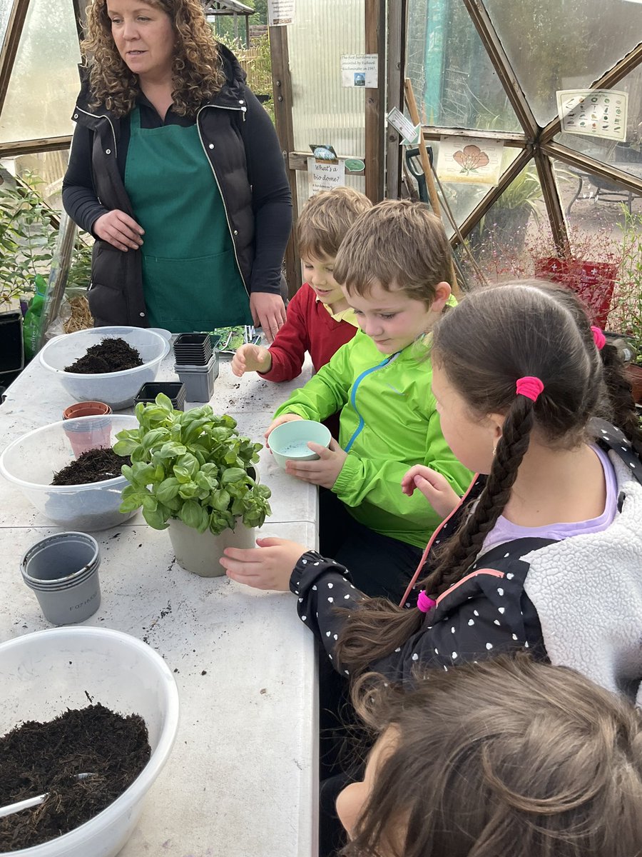 Mental Health and Wellbeing at Phoenix tweet media