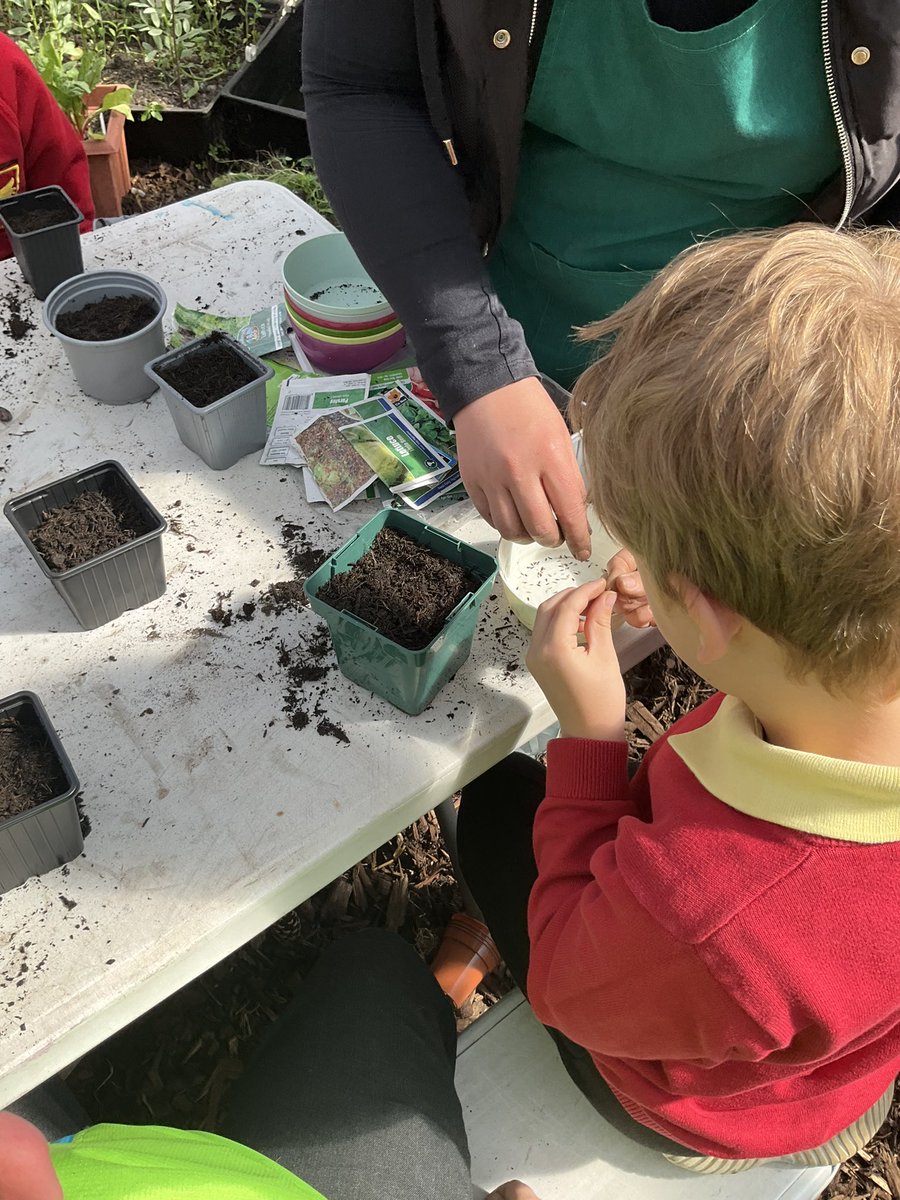 Mental Health and Wellbeing at Phoenix tweet media