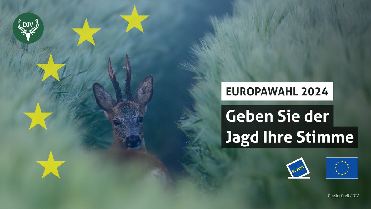 Geben Sie der #Jagd in Europa eine Stimme. Nehmen Sie am 9. Juni an der #Europawahl teil. Wie die Bundestagsparteien zu jagdlichen Themen stehen: go.jagdverband.de/Wahlpruefstein…