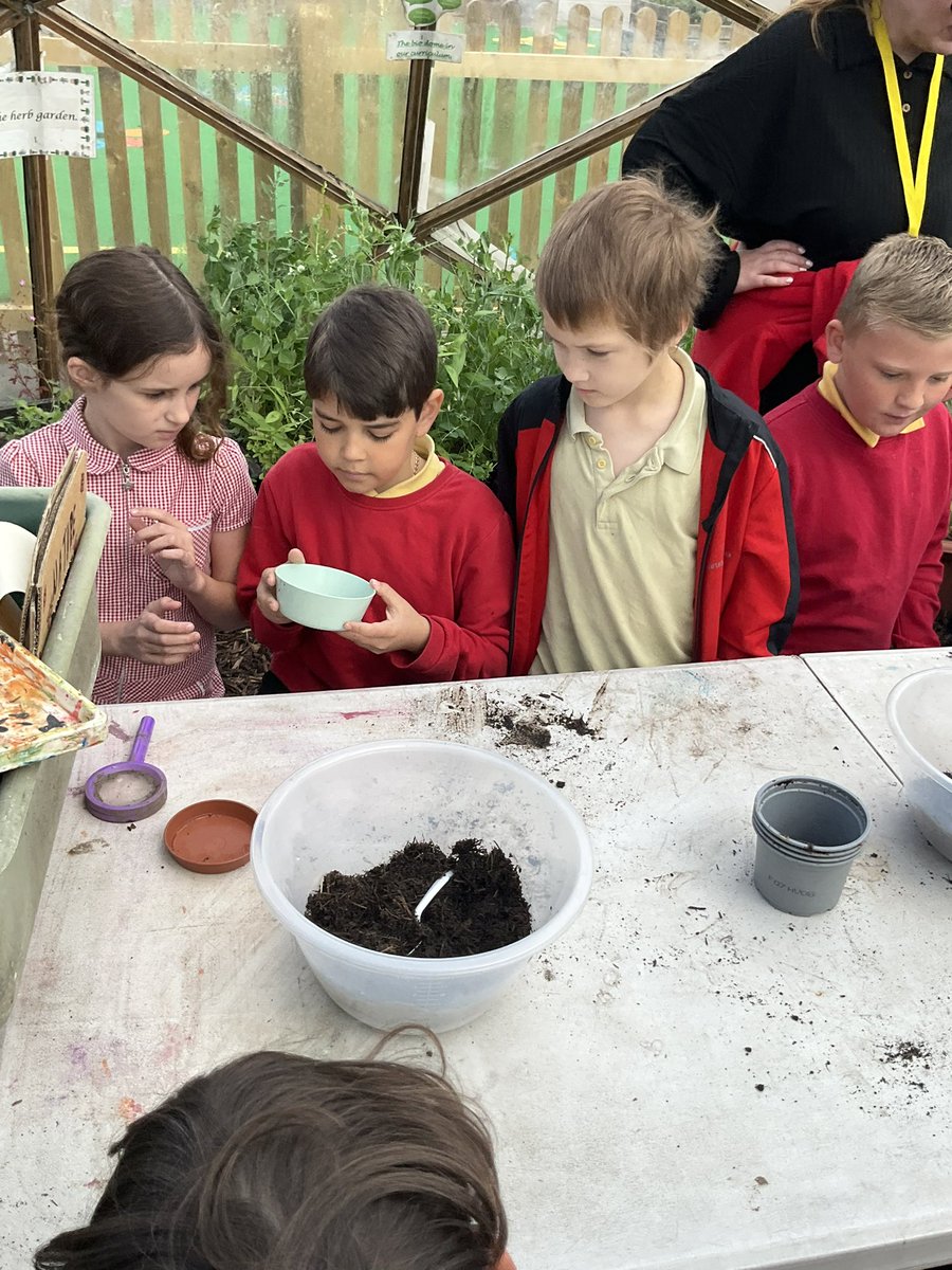 Mental Health and Wellbeing at Phoenix tweet media