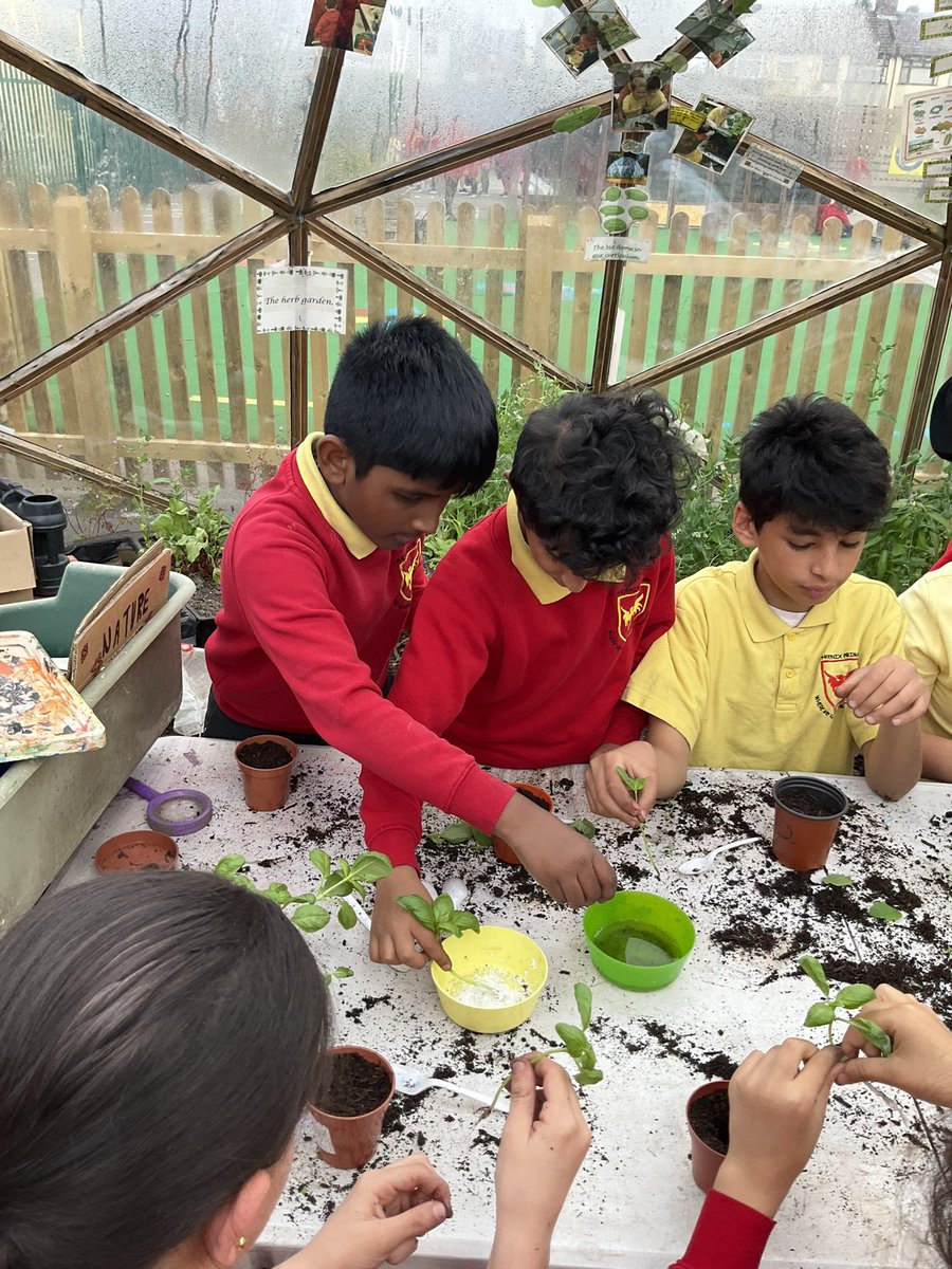 Mental Health and Wellbeing at Phoenix tweet media