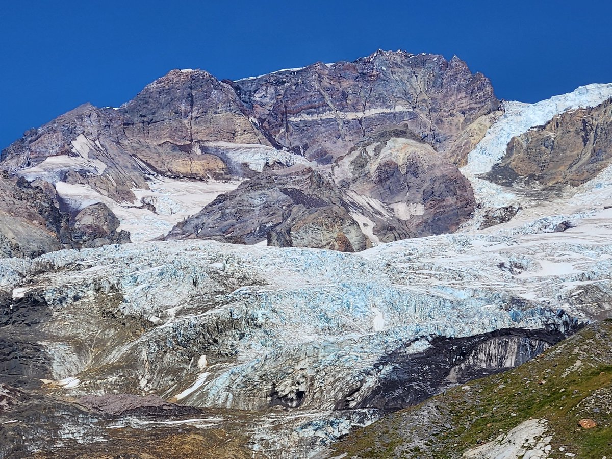 @BrightTrending @bbrightvc I would love to take him on a hike/backpacking trip in Mount Rainier National Park in 🇺🇲 since he is already on the west coast. It is so beautiful there and he can swim in a lake or feast on wild blueberries in late summer, early fall. 

#bbrightvc @bbrightvc