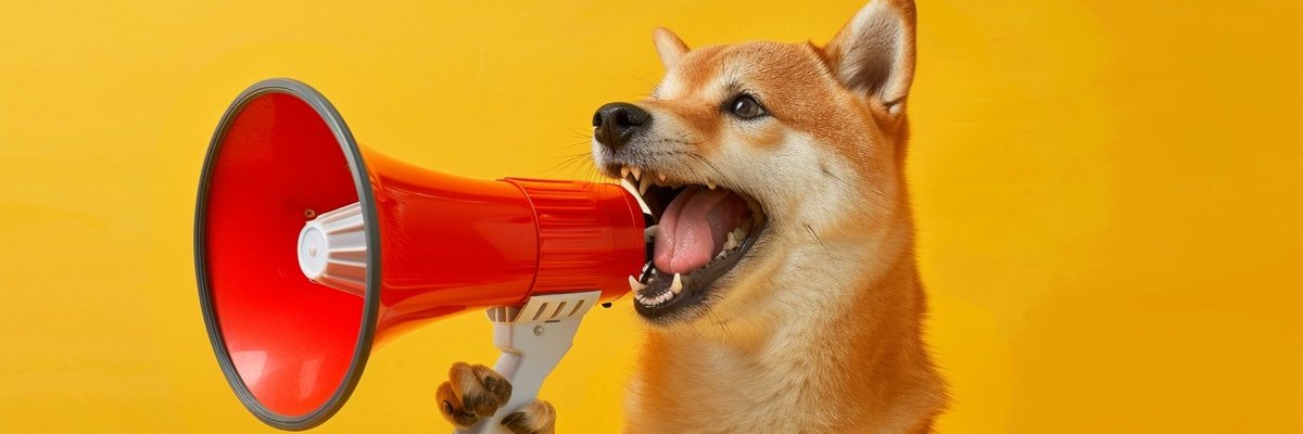 BARK! | BONKATHON 🐕 tweet media