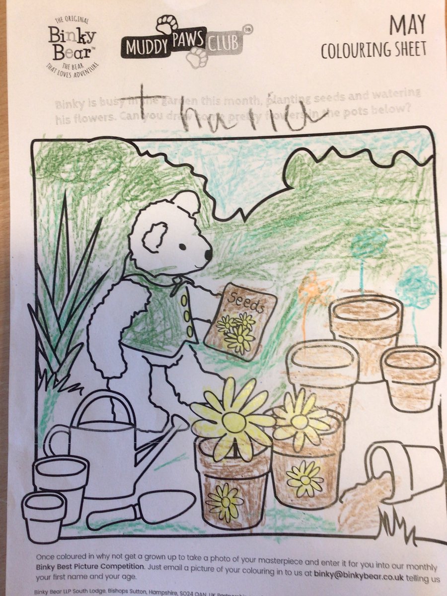 WoodlandsPrim1's tweet photo. Primary 1 heard a story about #BinkyBear and coloured in a picture of Binky in his garden @AllAboutBinky https://t.co/2oSYlVOVad