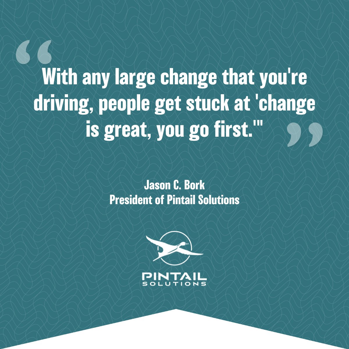 Pintail Solutions tweet media