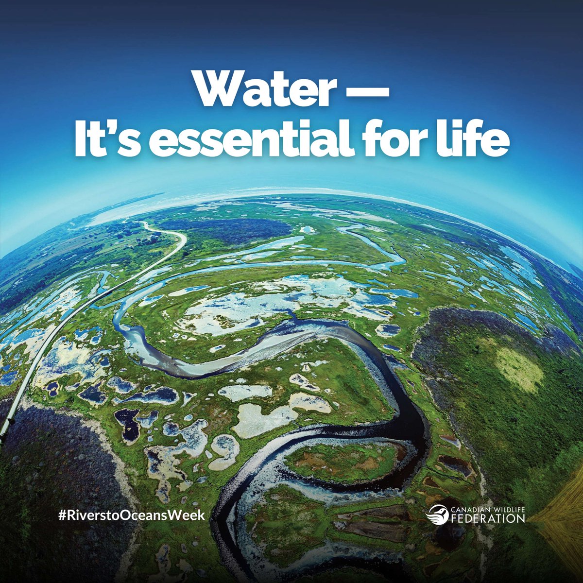 CWF_FCF's tweet photo. #RiversToOceansWeek is almost here, and it's more than just a week-long event β it's a call to action for every Canadian!
So, get ready to be inspired, take action and celebrate the beauty and interconnectedness of our waterways. Stay tuned for more details... π§π https://t.co/S2DhF4PKBO