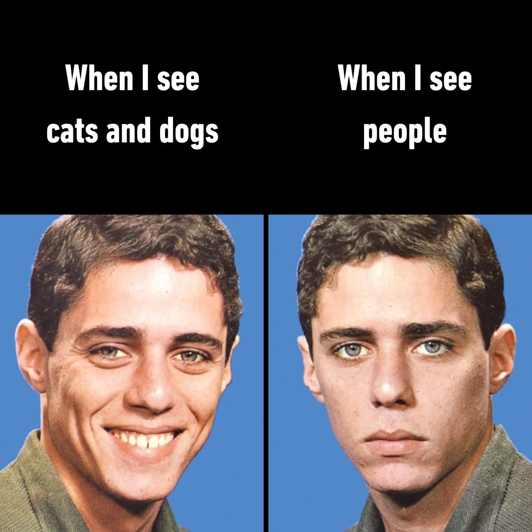 approach vs avoid