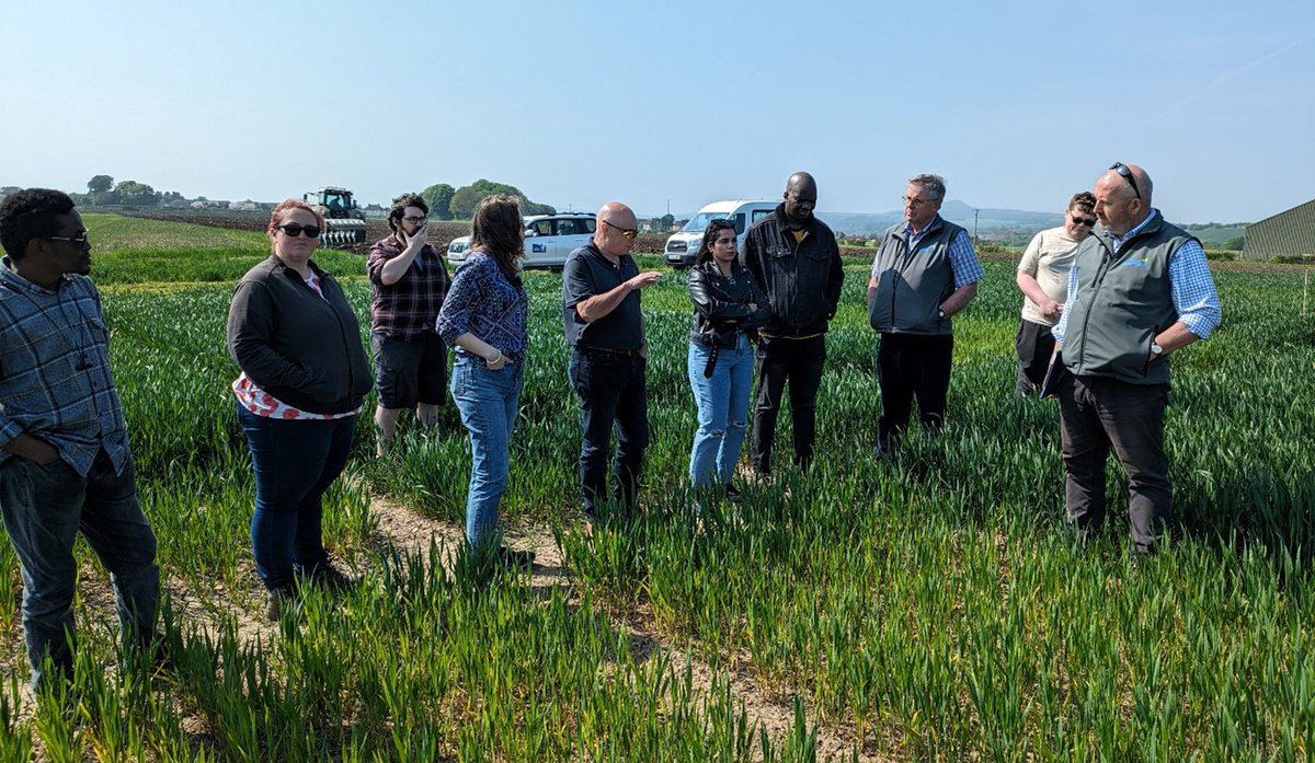 International Barley Hub (@intbarleyhub) on Twitter photo The first and second cohort of #BARIToNE students recently took part in the first annual BARIToNE Summer School, hosted <a href="/JamesHuttonInst/">James Hutton Institute</a> <a href="/dundeeuni/">University of Dundee</a>.
This included training, site visits and the opportunity for students to present their work.
More: bit.ly/4bDZZuh The first and second cohort of #BARIToNE students recently took part in the first annual BARIToNE Summer School, hosted <a href="/JamesHuttonInst/">James Hutton Institute</a> <a href="/dundeeuni/">University of Dundee</a>.
This included training, site visits and the opportunity for students to present their work.
More: bit.ly/4bDZZuh